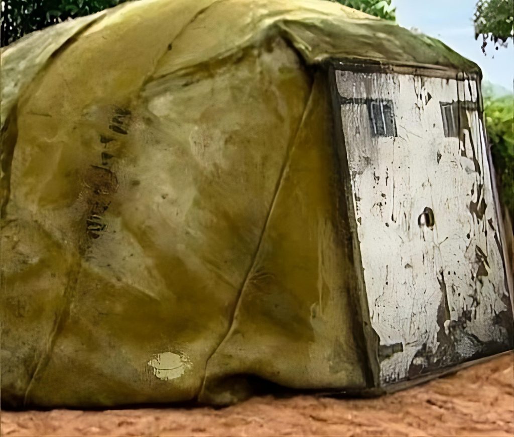 Everyone Laughed at This Man’s House Until They Walked Inside