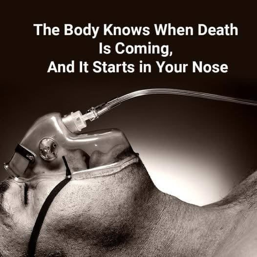 11 Signs You Are About to Die That You Can Notice Yourself