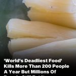 Off The RecordOver 200 People Are Ki**ed By The “World’s Deadliest Food” Every Year, But Almost 500 Million People Still Eat It