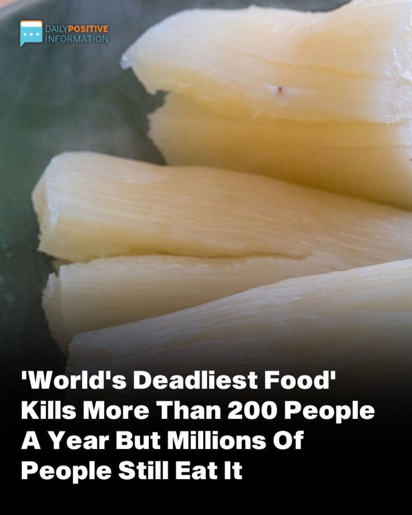 Off The RecordOver 200 People Are Ki**ed By The “World’s Deadliest Food” Every Year, But Almost 500 Million People Still Eat It