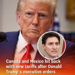 Canada and Mexico Retaliate with New Taxes Following Trump’s Trade-Tension Executive Orders