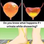 If you urinate in the shower, be careful, you should know that