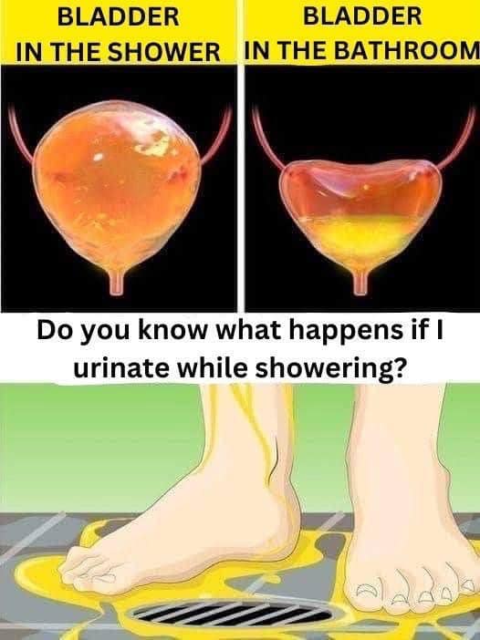 If you urinate in the shower, be careful, you should know that