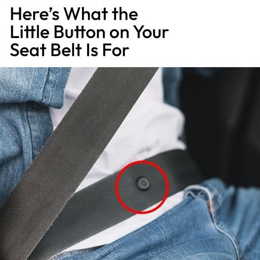 Do You Know What That Little Button on Your Seat Belt Is For?