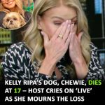 Kelly Ripa breaks down on TV after losing her 17-year-old dog