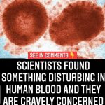 Scientists Discover Alarming Substance in Human Blood, Raising Serious Concerns