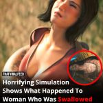 Horrifying Simulation Reveals What Happened To Woman Swallowed Whole By 23-Foot Python