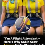 Surprising reason flight attendants sit on their hands