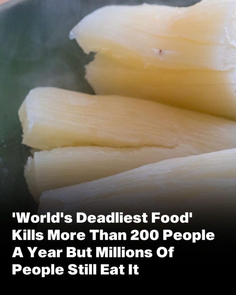 Over 200 People Are Killed By The “World’s Deadliest Food” Every Year, But Almost 500 Million People Still Eat It