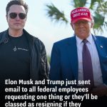 Elon Musk and Trump just sent email to all federal employees requesting one thing or they’ll be classed as resigning if they don’t respond