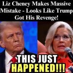 Trump Launches Scathing Critique of Former GOP Representative, Questioning the Rationale Behind Supporting Liz Cheney.