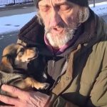 Homeless Man Asked Me to Take His Dog – A Month Later, I Received a Mysterious Letter