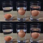 5 ways to tell if an egg is fresh or rotten