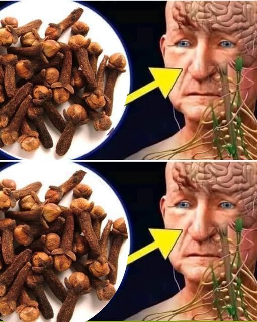 After 50: Chew 2 Cloves Daily on an Empty Stomach and Reap These Health Benefits